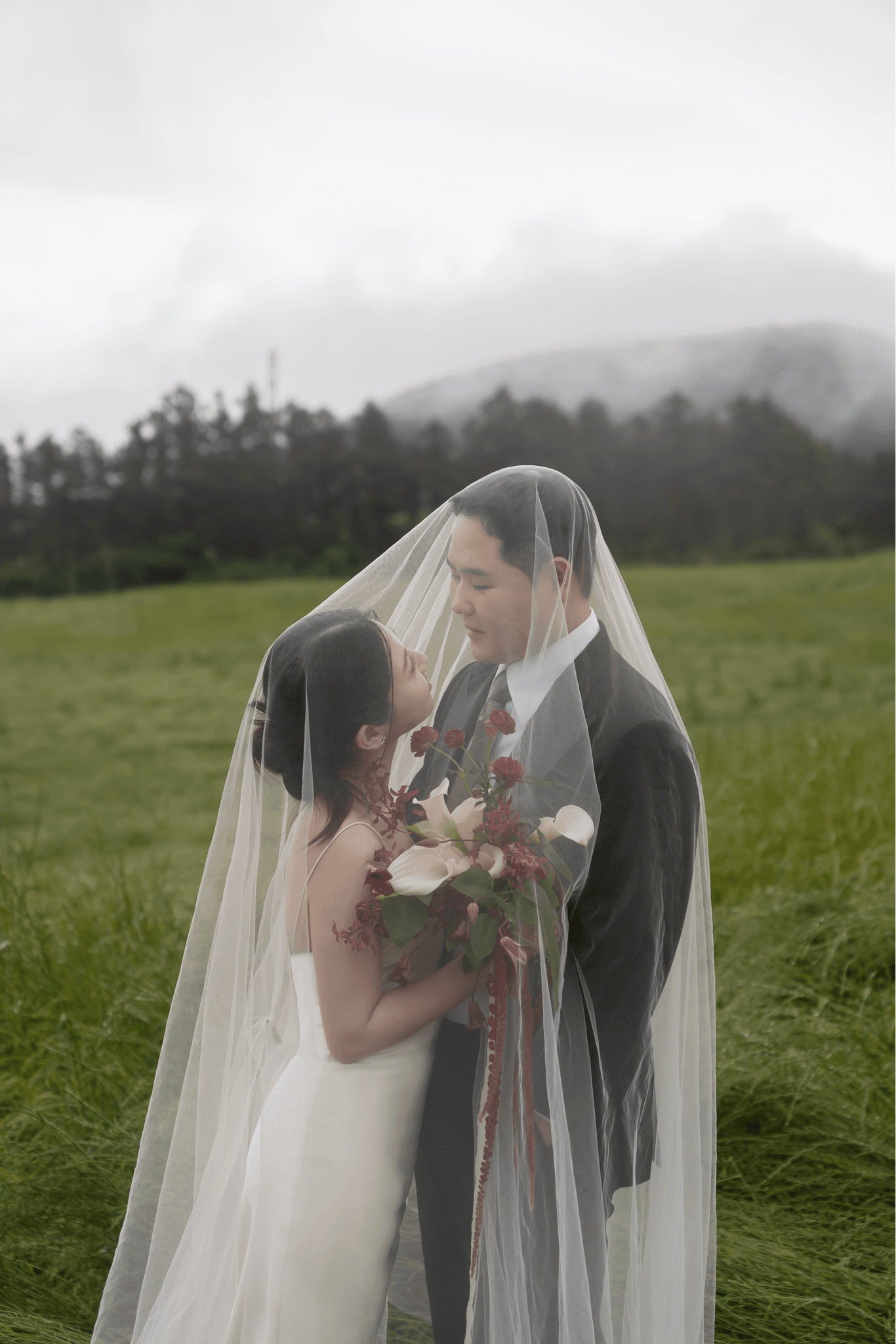 A Thousand Years cover